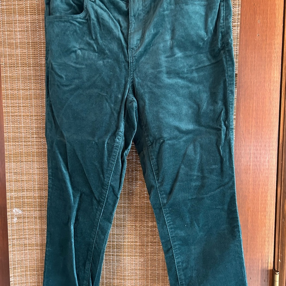 NWT dark green velvet pants size 10